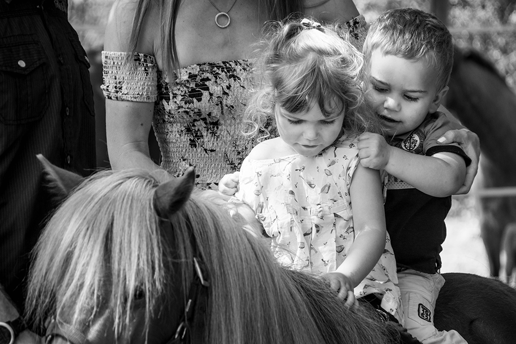 séance photo famille à domicile enfants chevaux balade promenade Toulouse lauragais