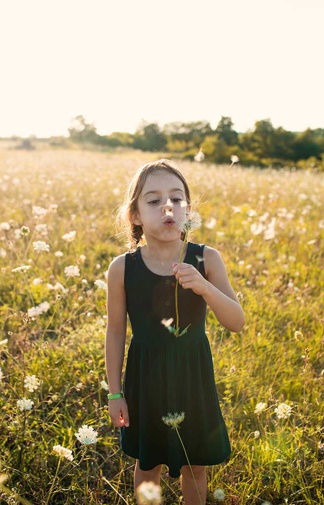 photographe séance photo famille bébé enfants Toulouse lauragais champs fleur golden hour