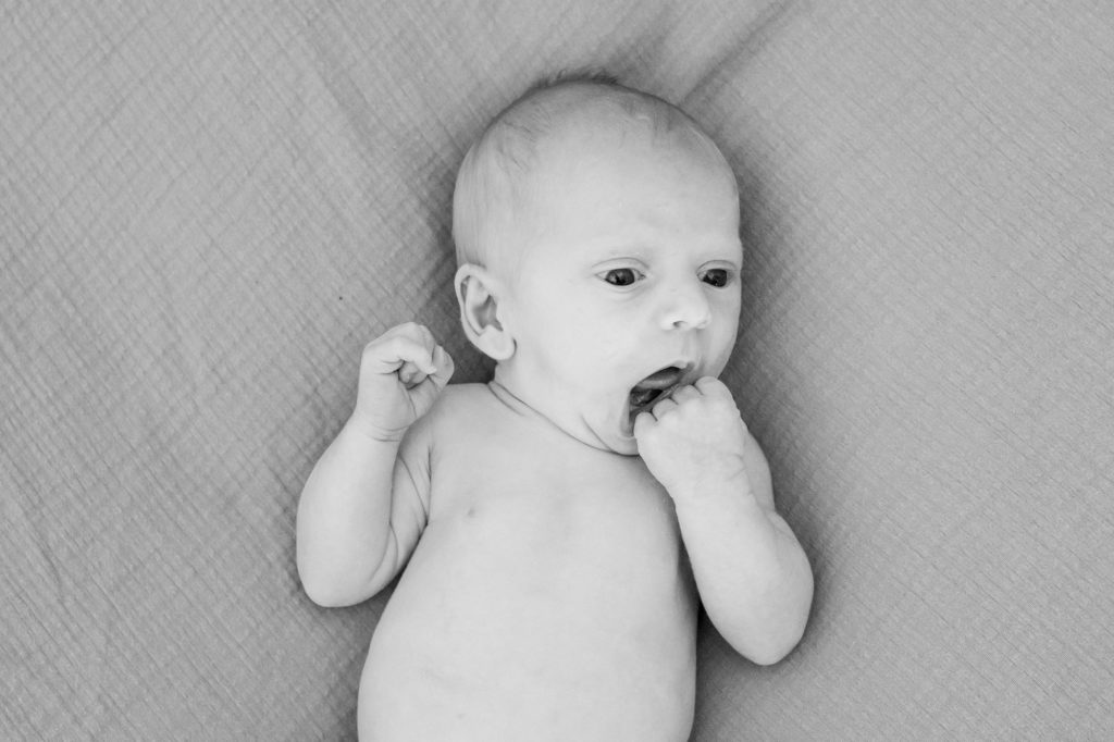 bébés toulouse aude occitanie lauragais