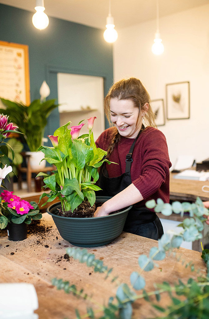 Lily&confettis fleuriste Toulouse Occitanie séance photo shooting pro lauragais tarn createurs artisan