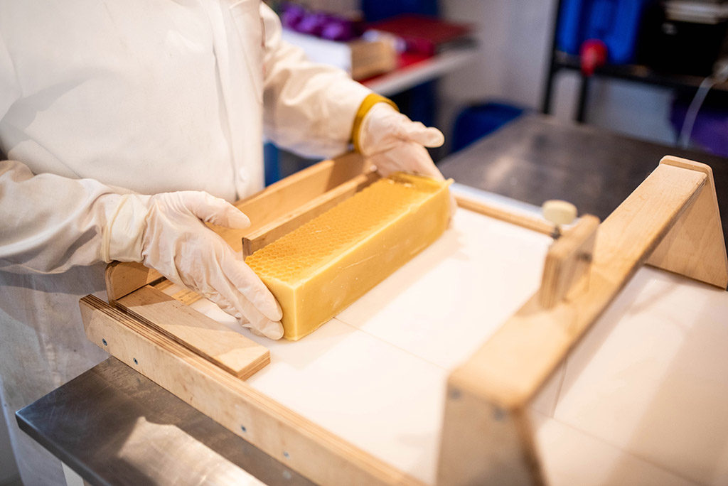 chouette des savonnettes savonnier savon Toulouse Occitanie séance photo shooting pro lauragais tarn createurs artisan