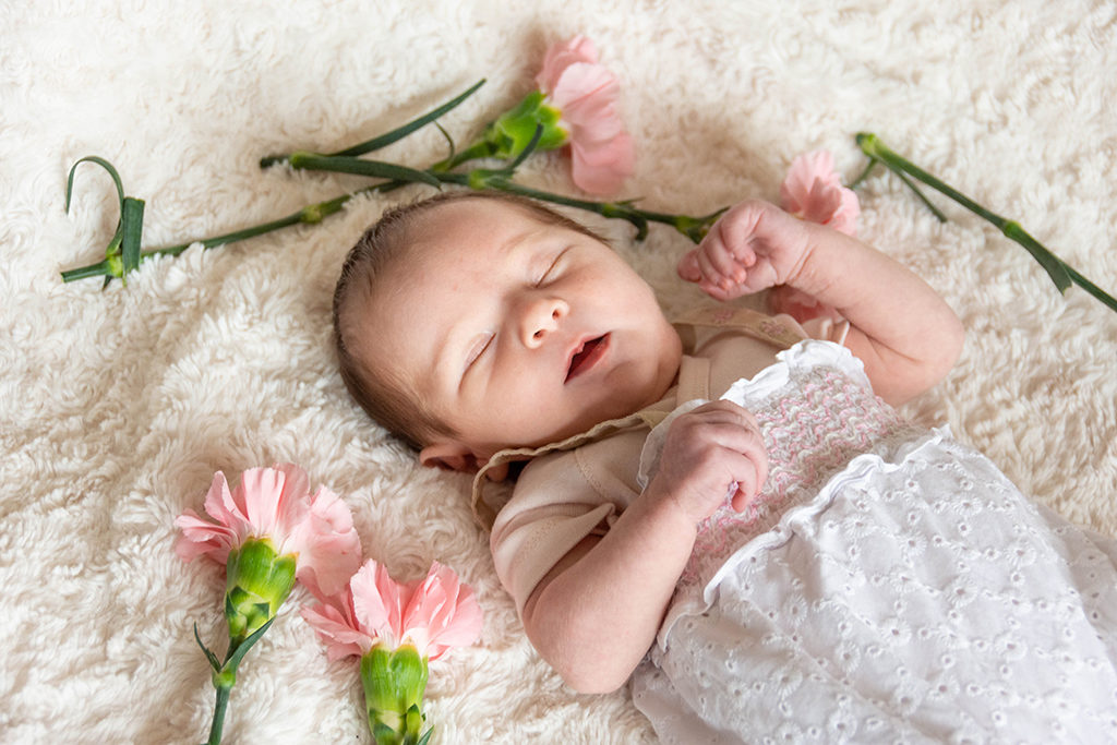 Famille Toulouse lauragais aude Haute-Garonne bébé baby séance photo photographe nouveau né
