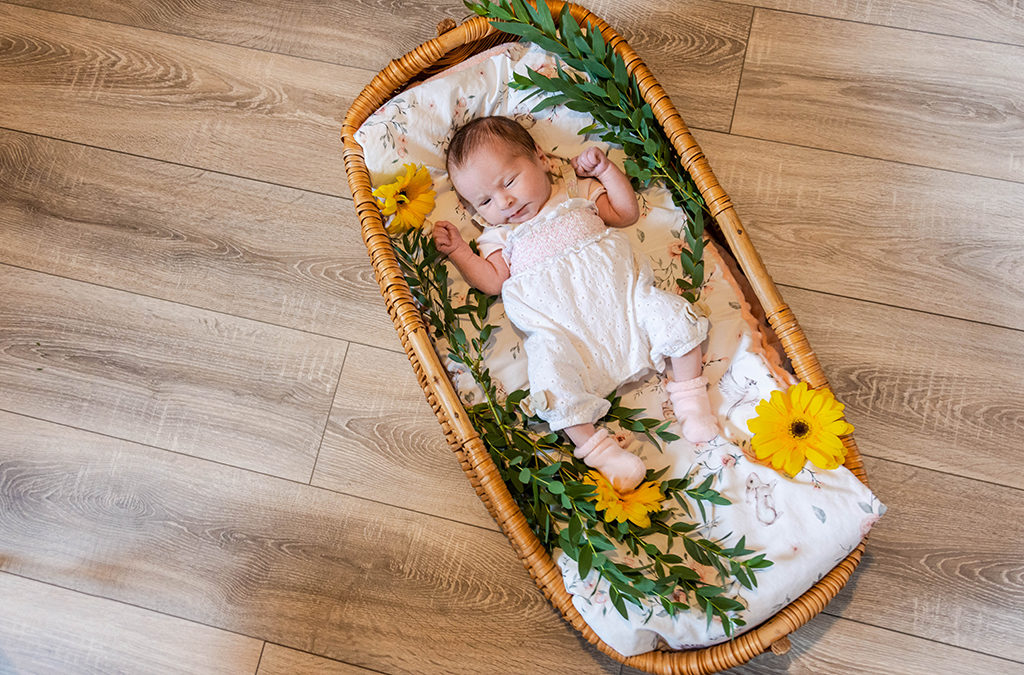 Famille Toulouse lauragais aude Haute-Garonne bébé baby séance photo photographe nouveau né