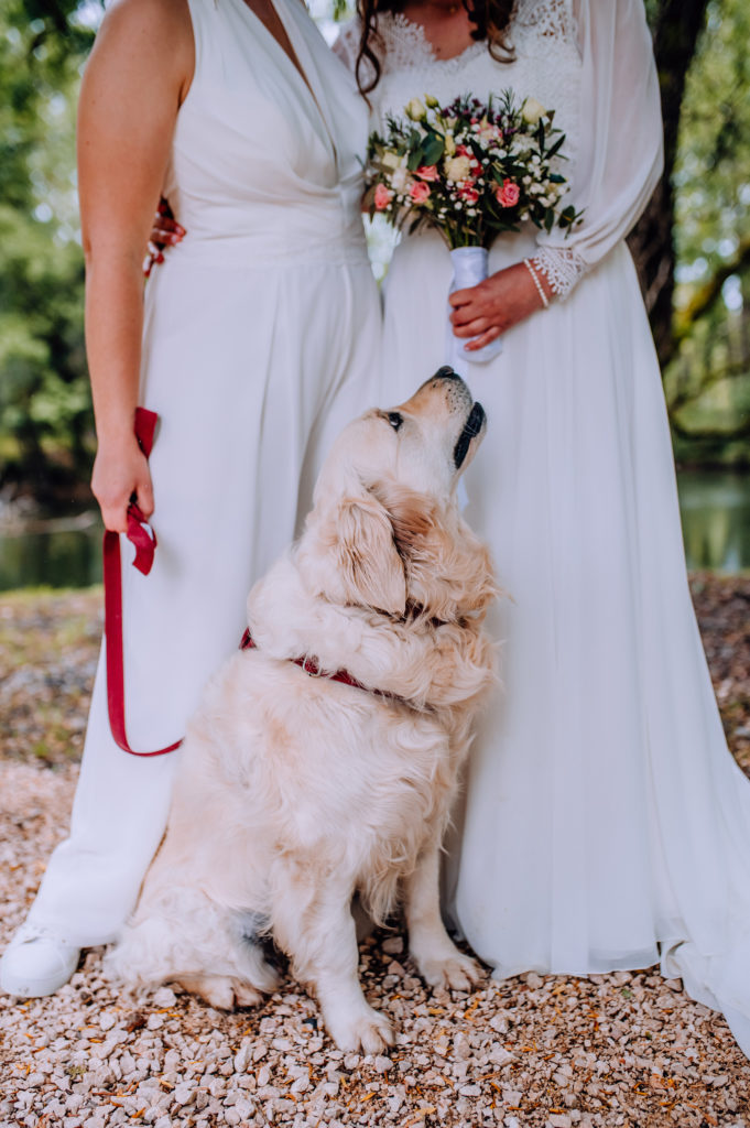 Photographe-mariage-Toulouse-Lauragais-Goldenhour-Aude-Labastide-d'anjou-céline-s-photographies-céline-skowron-moulin-rudelle-golden-retriever-chien