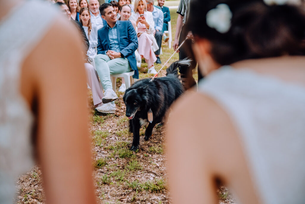 Photographe-mariage-Toulouse-Lauragais-Goldenhour-Aude-reportage-lgbt-domaine-barrots-ceremonie-laique-chien