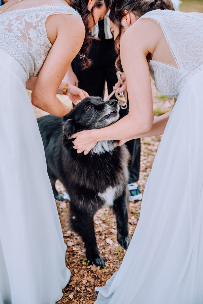 Photographe-mariage-Toulouse-Lauragais-Goldenhour-Aude-reportage-lgbt-domaine-barrots-chien-ceremonie-laique
